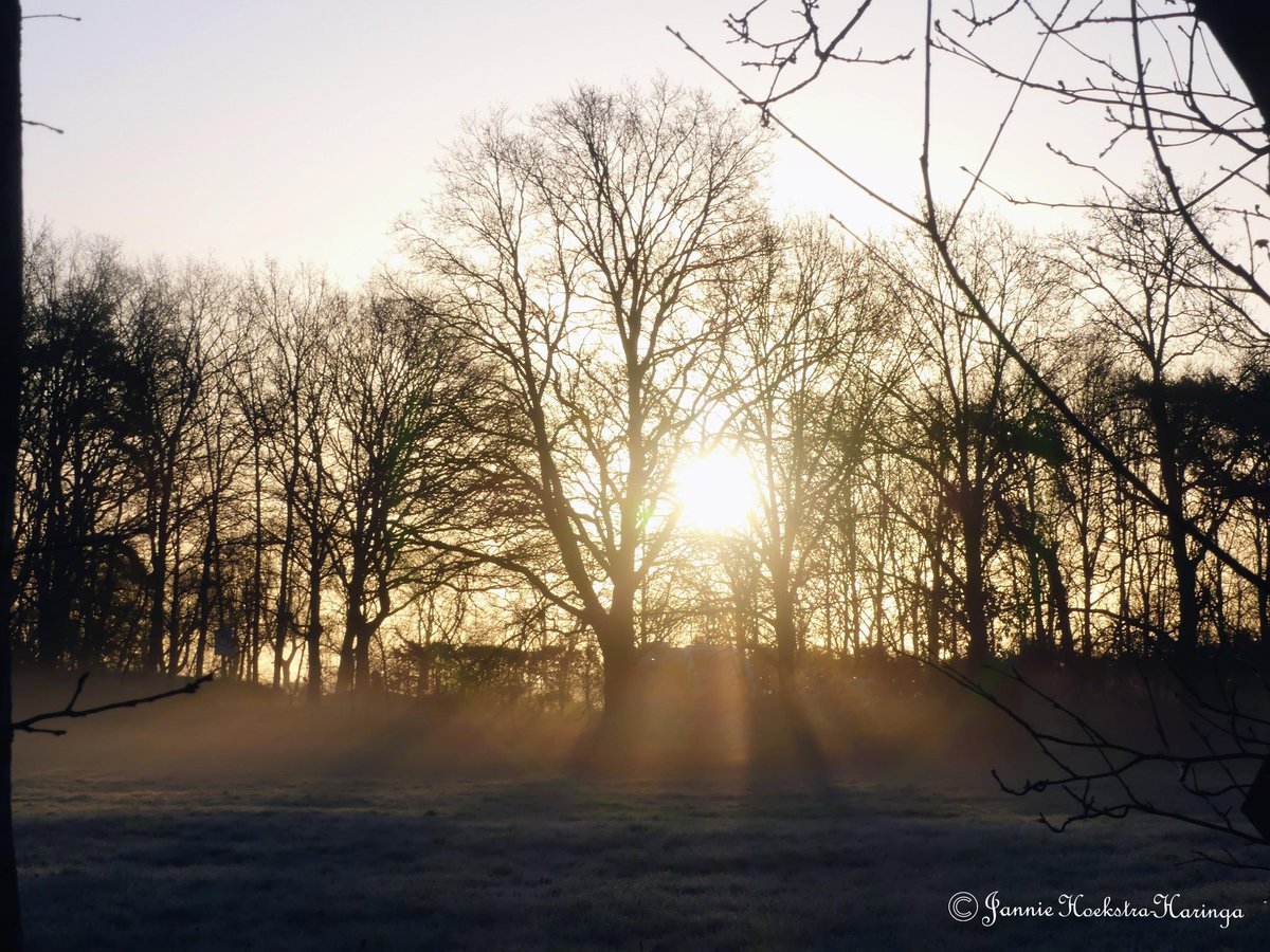Jannie Hoekstra-Haringa tweet media