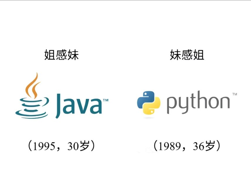 早露泡泡兔（四代目）寻回推油中 tweet media