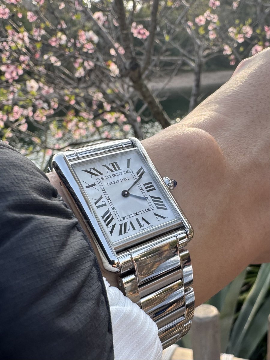 clronosuke（クロノスケ） tweet media