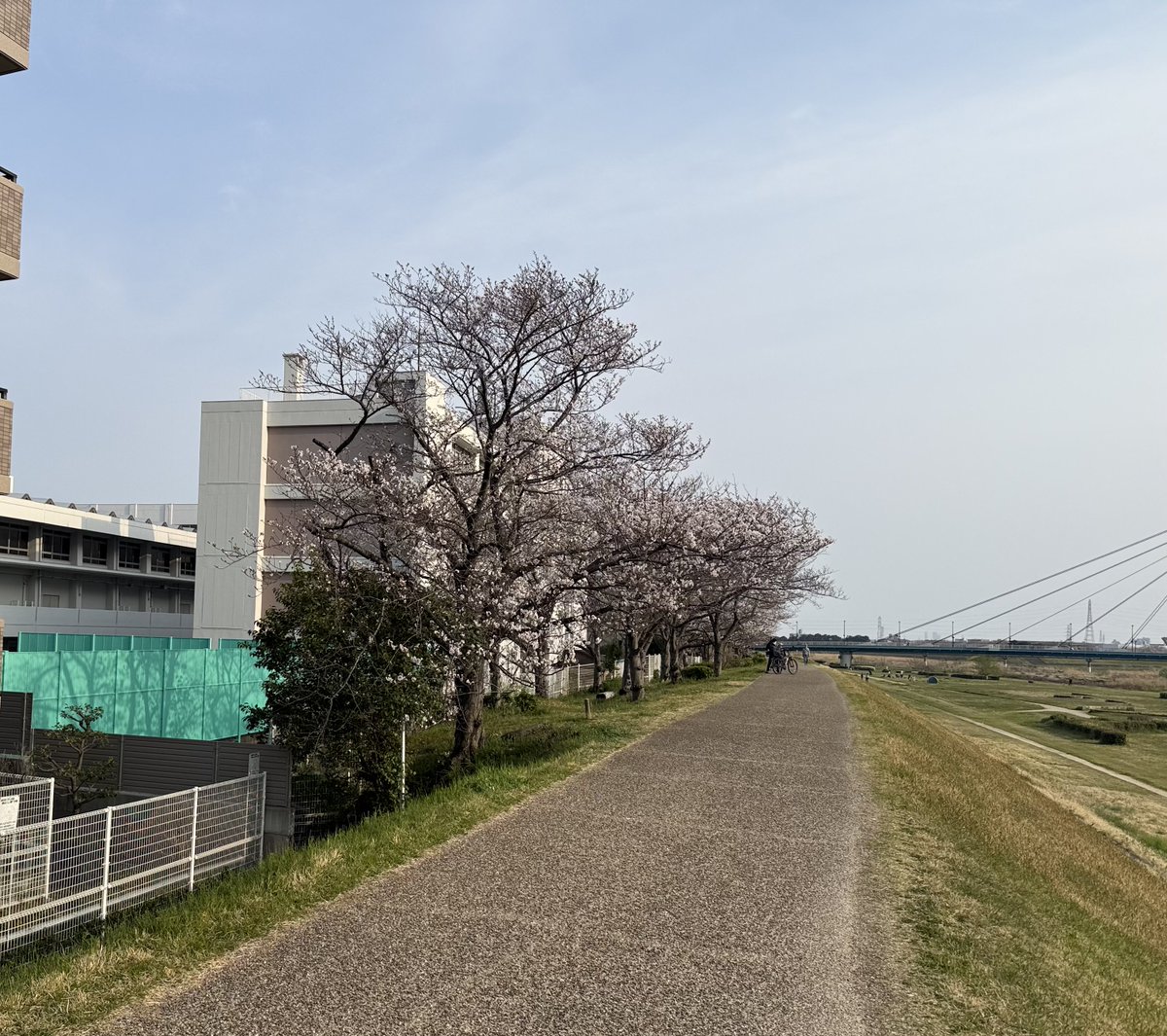 🍎むつ@毎月ブルベ継続中2025/4~ tweet media