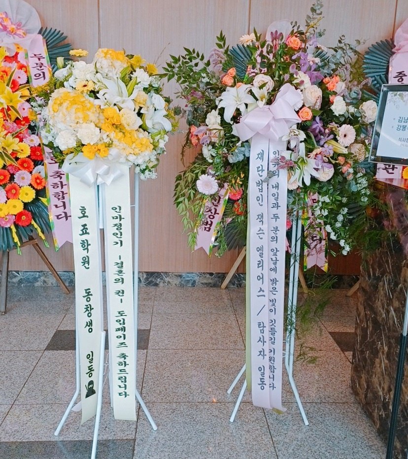 oolong🛰️ tweet media