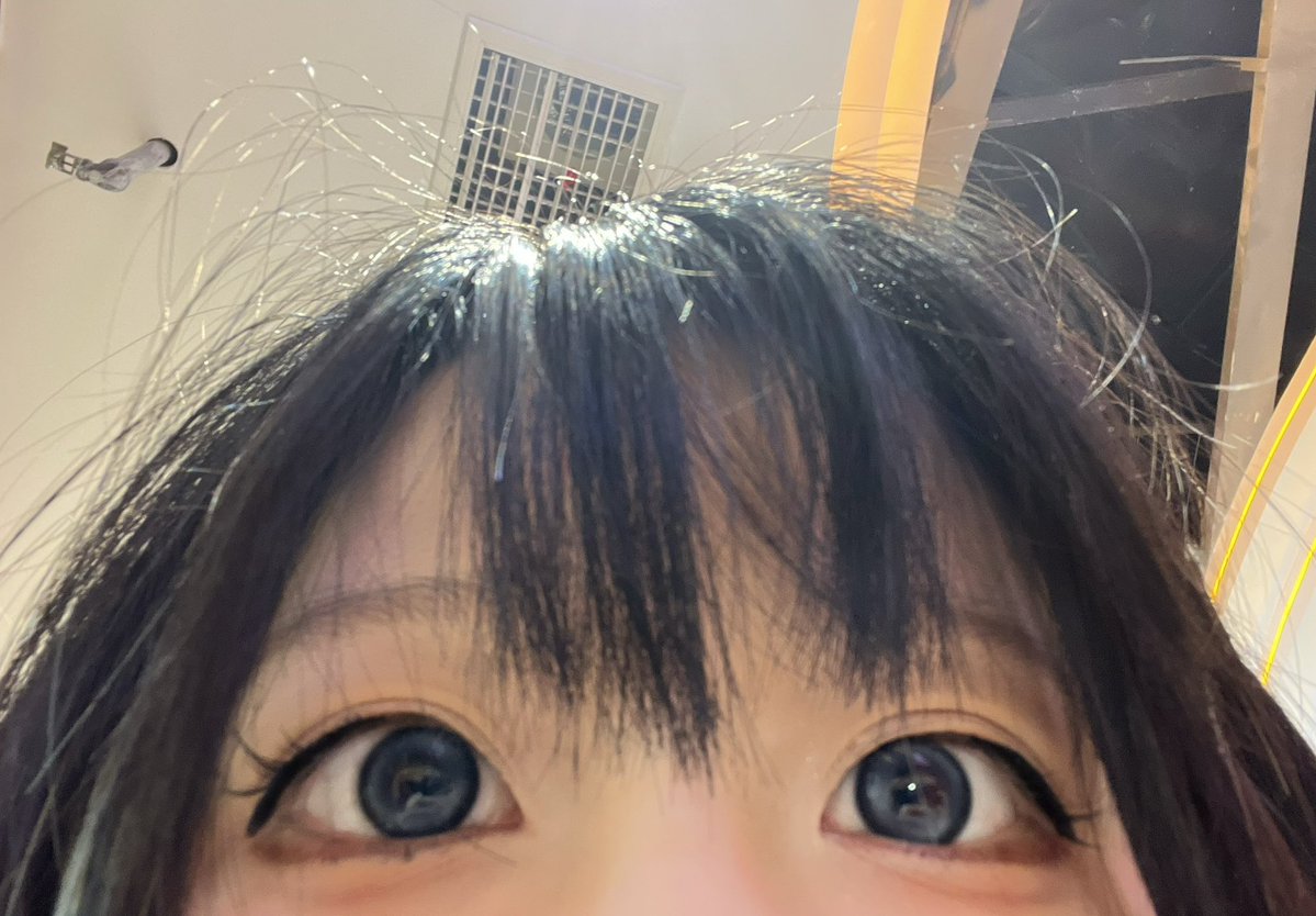 linke檩 tweet media