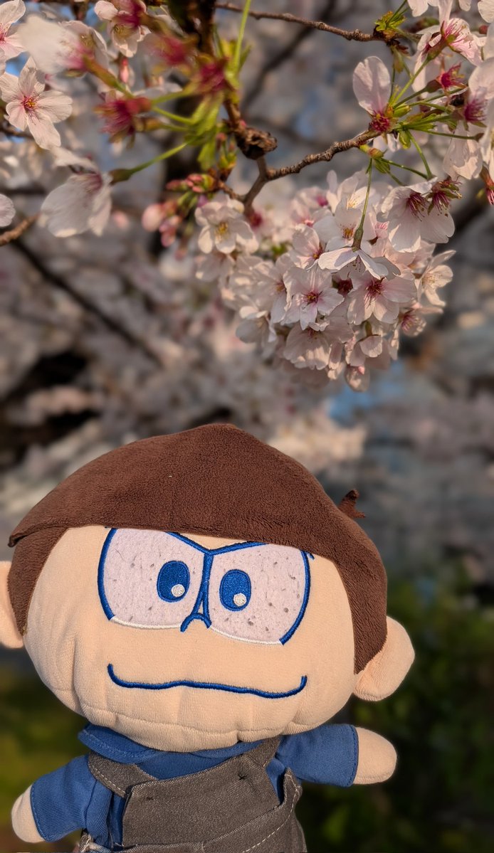 いつき▷取引のみプロカあり tweet media