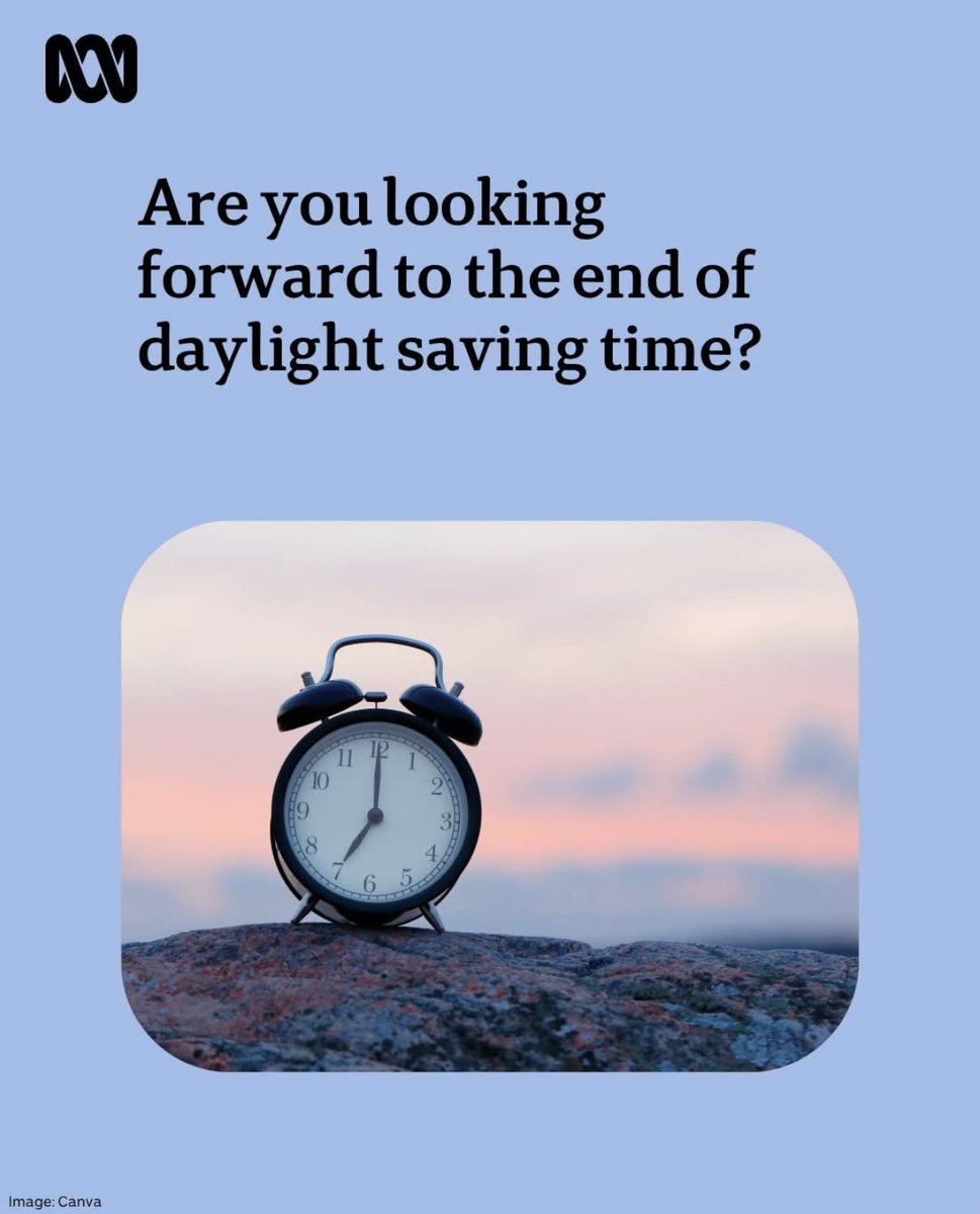 discocat tweet media