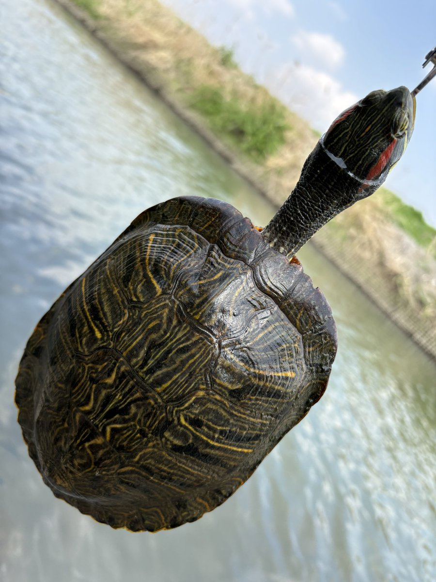 yusuke o2ka tweet media