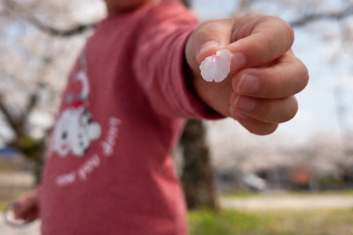 満開🌸
小学校の同窓会@そのへんの公園
28年ぶりー！とか、エモすぎる😂