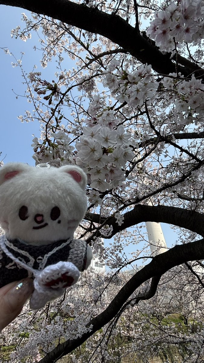 ブルーハワイ tweet media