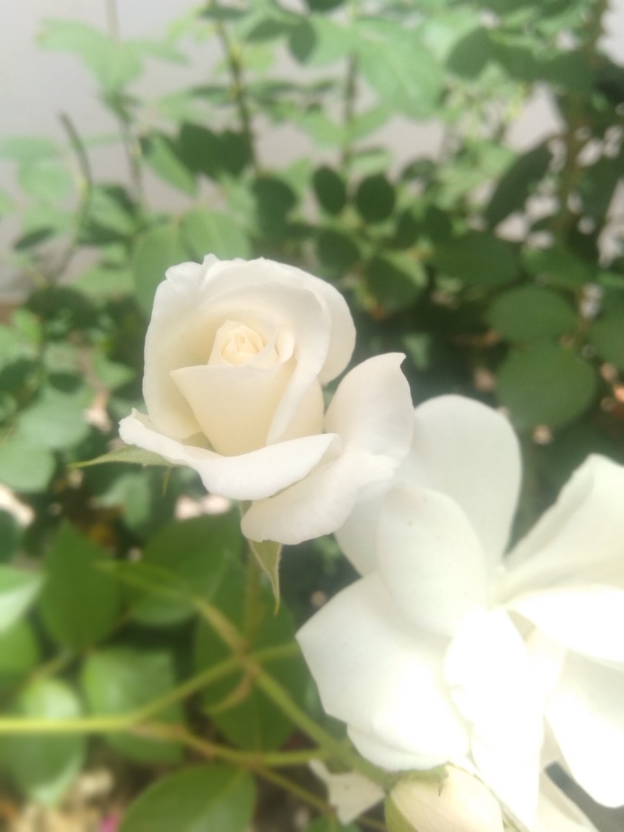 IamDigu⁷(°-°) tweet media