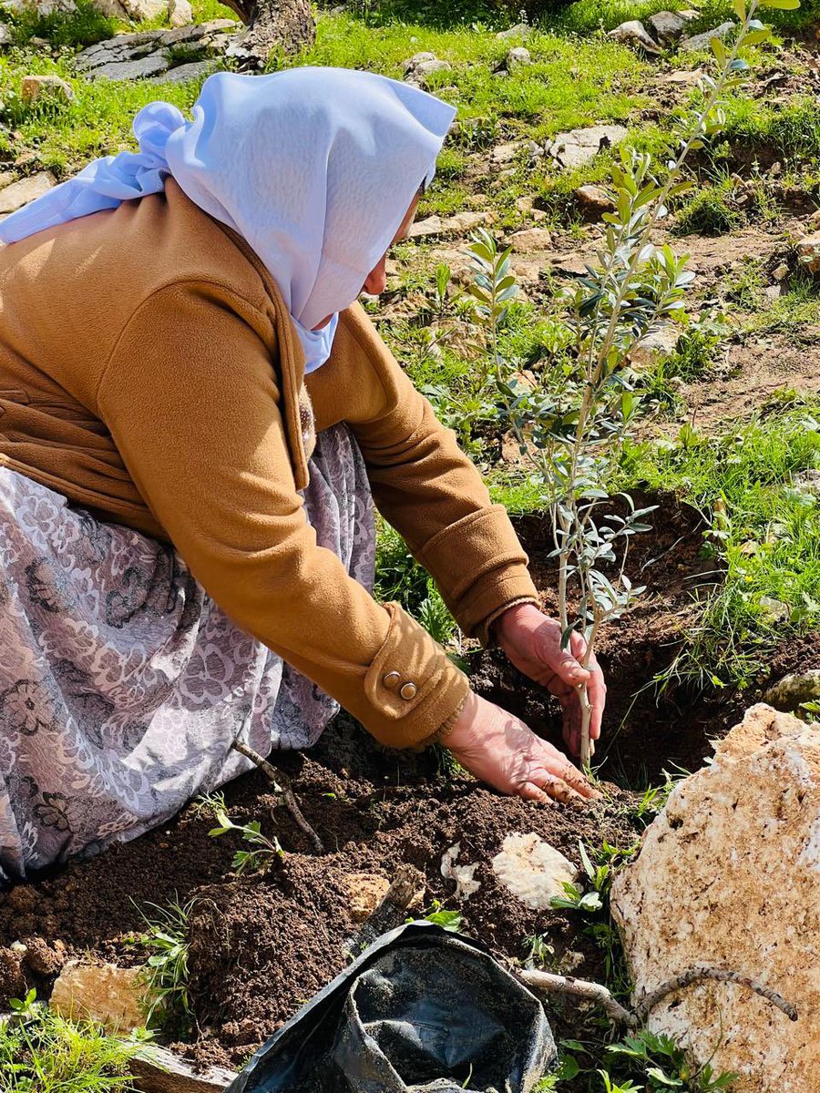 Dîroka Êzdîxan tweet media