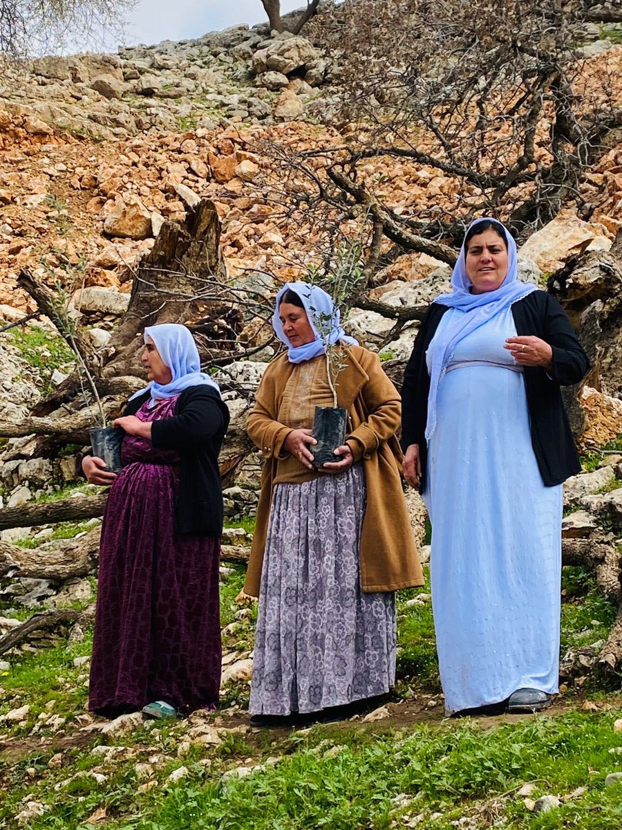 Dîroka Êzdîxan tweet media