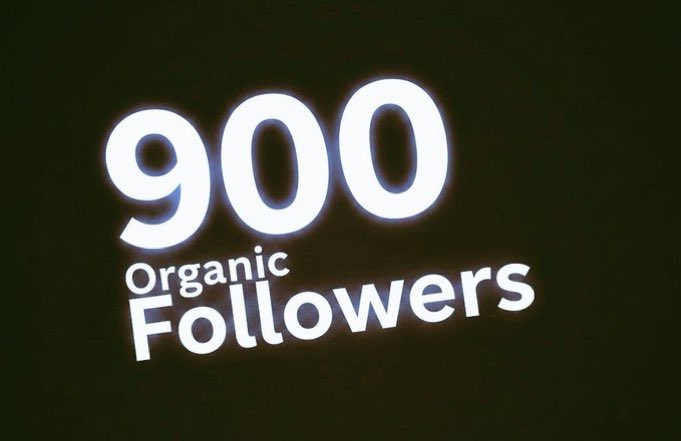 LEWA 🌺🌹 tweet media