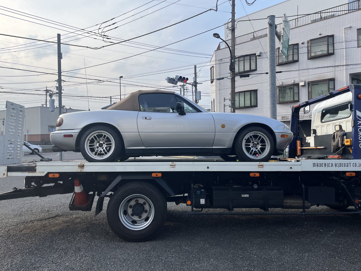 ねこちわわ tweet media