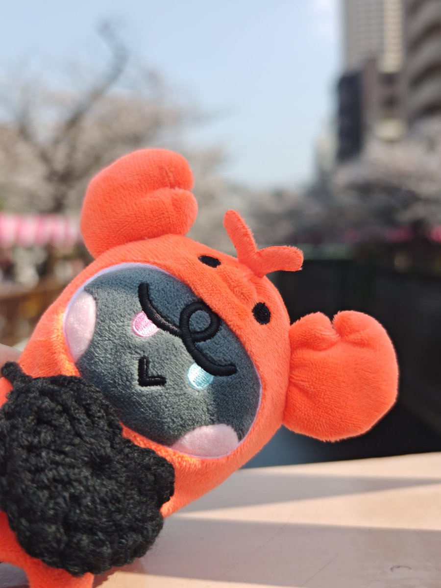 えびちゃん tweet media