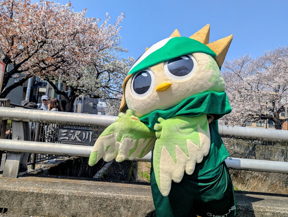 おはる tweet media