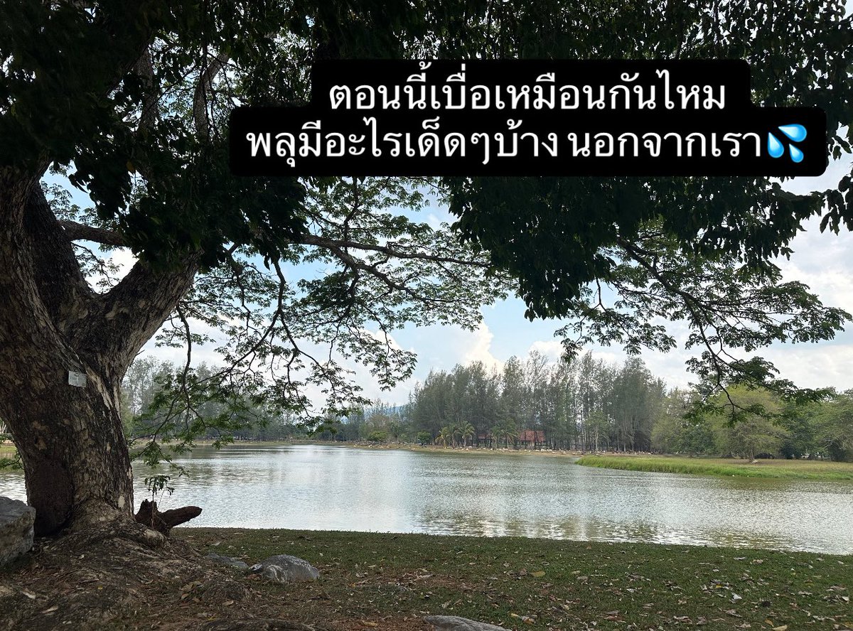 วัຢsะlsิง☆★ tweet media