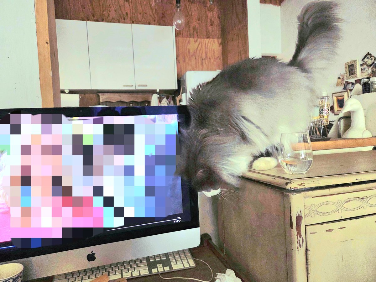 小松由佳 『 ハイポテンシャル』Disney+ tweet media