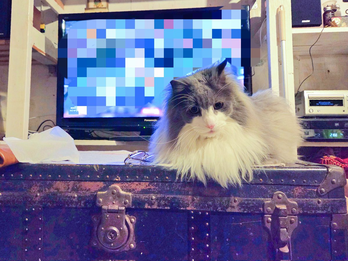 小松由佳 『 ハイポテンシャル』Disney+ tweet media