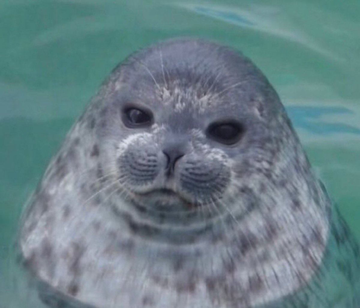 𝐏𝐲𝐫𝐨 𝐑𝐞𝐝 tweet media