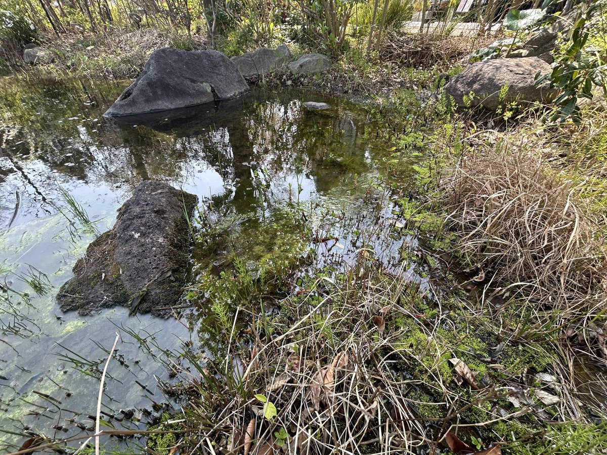 EMURA Tetsuya tweet media