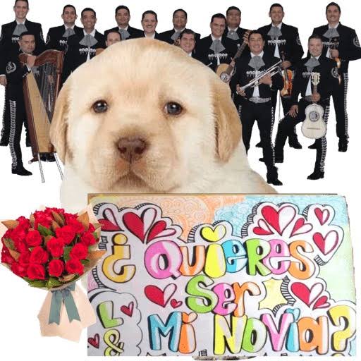 Mir García tweet media