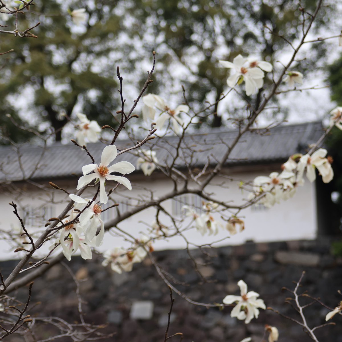 YorieGames tweet media