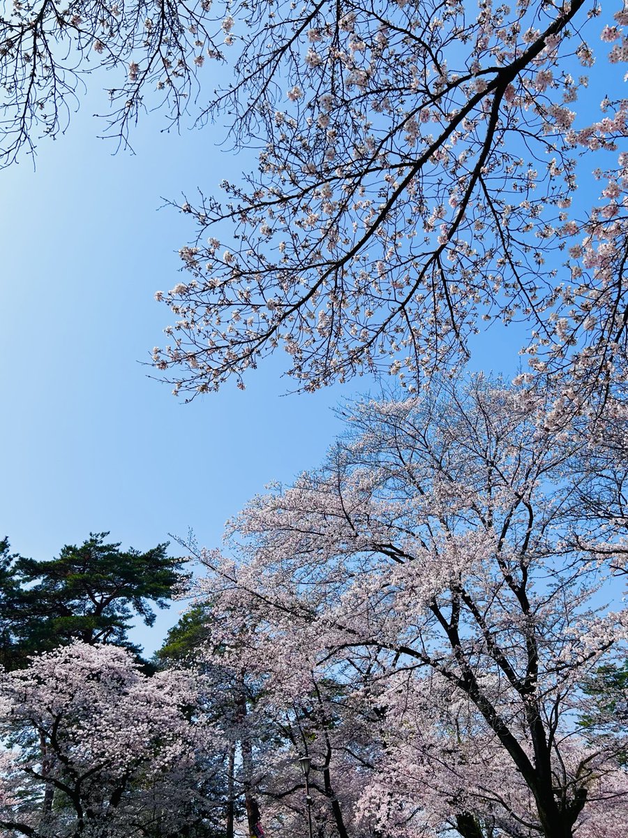 杉浦リョウ＠ウラマンガール連載中 tweet media