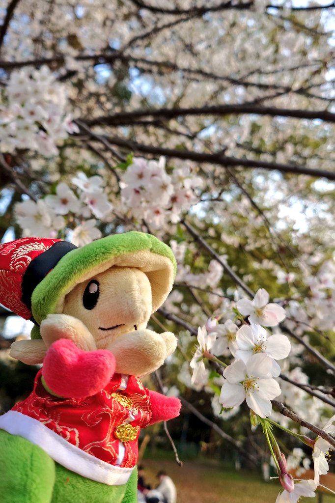 ただすめん tweet media