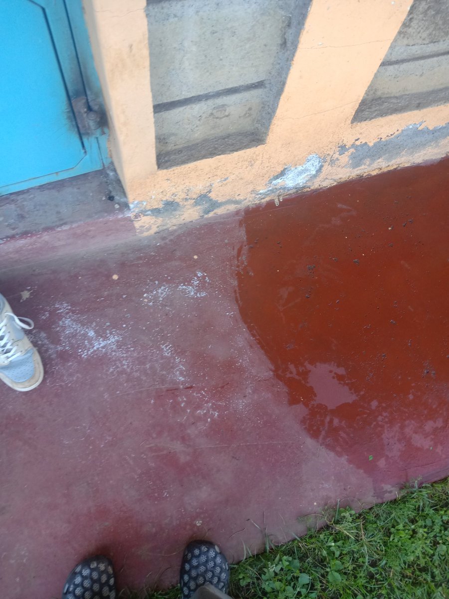 Mjukuu ya Lebo tweet media