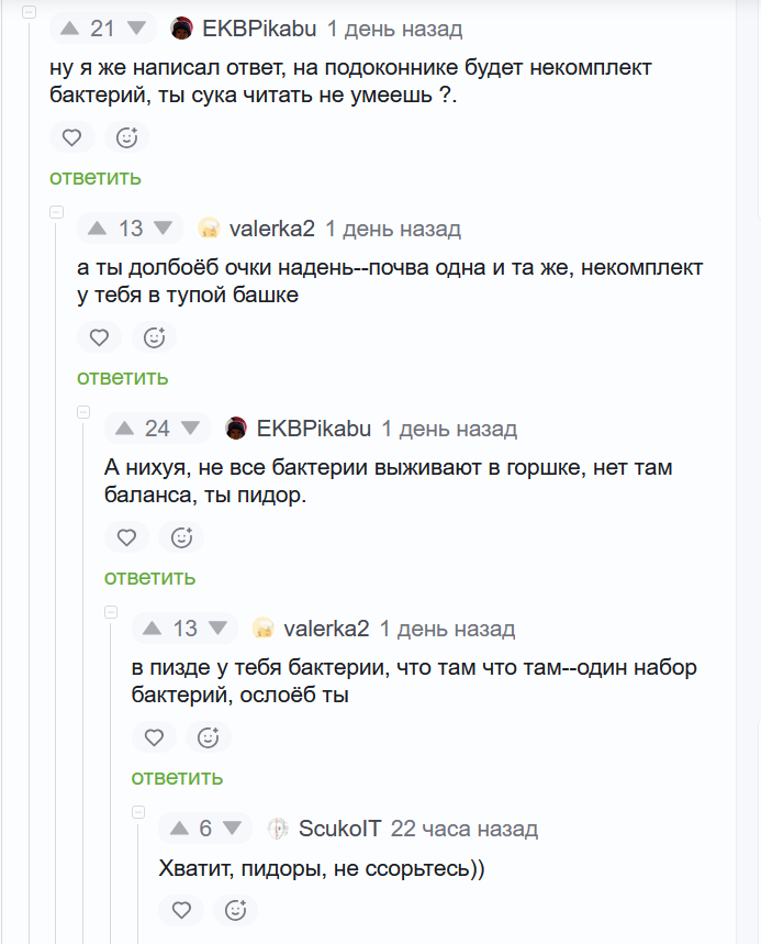 Совушка tweet media