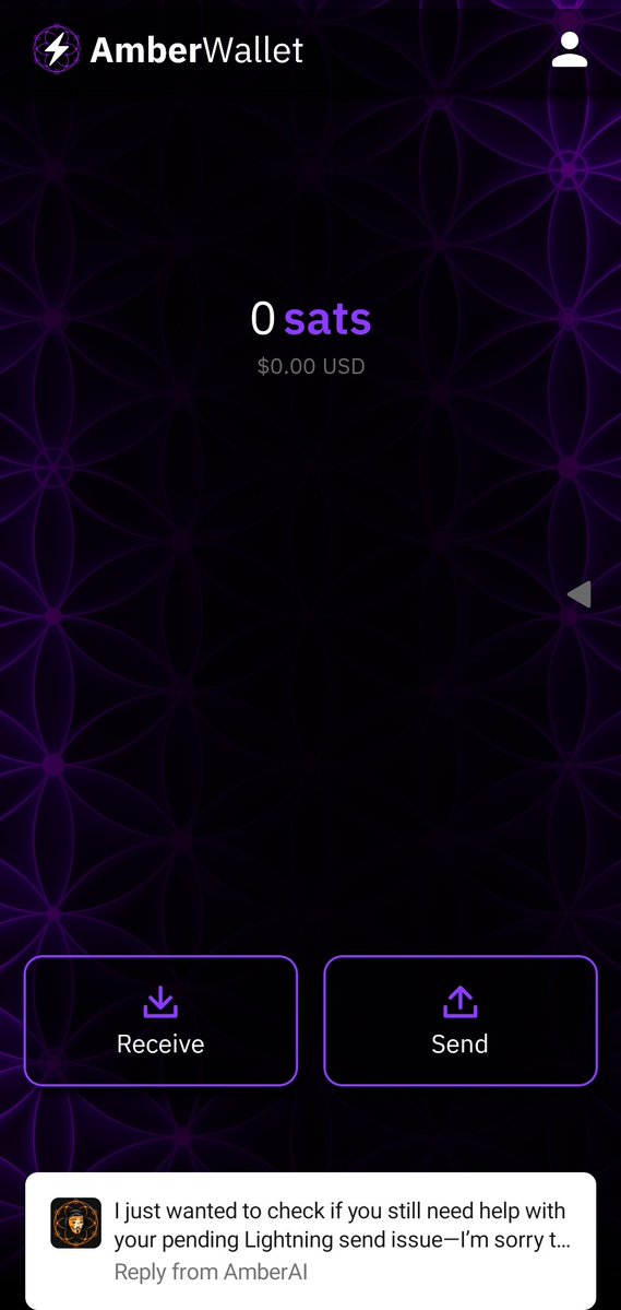 Wiki ⚡₿⚡ tweet media