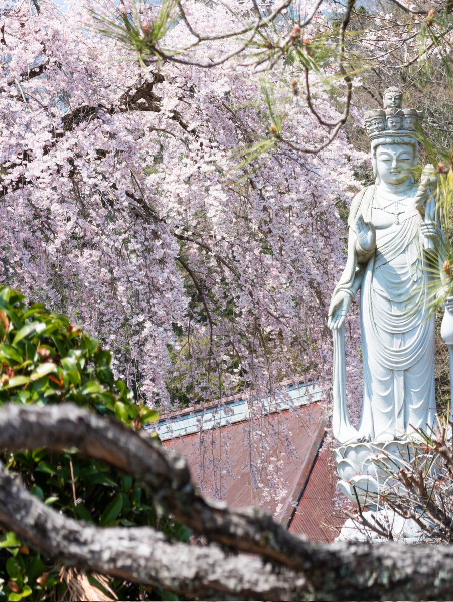 Kawasaki King tweet media