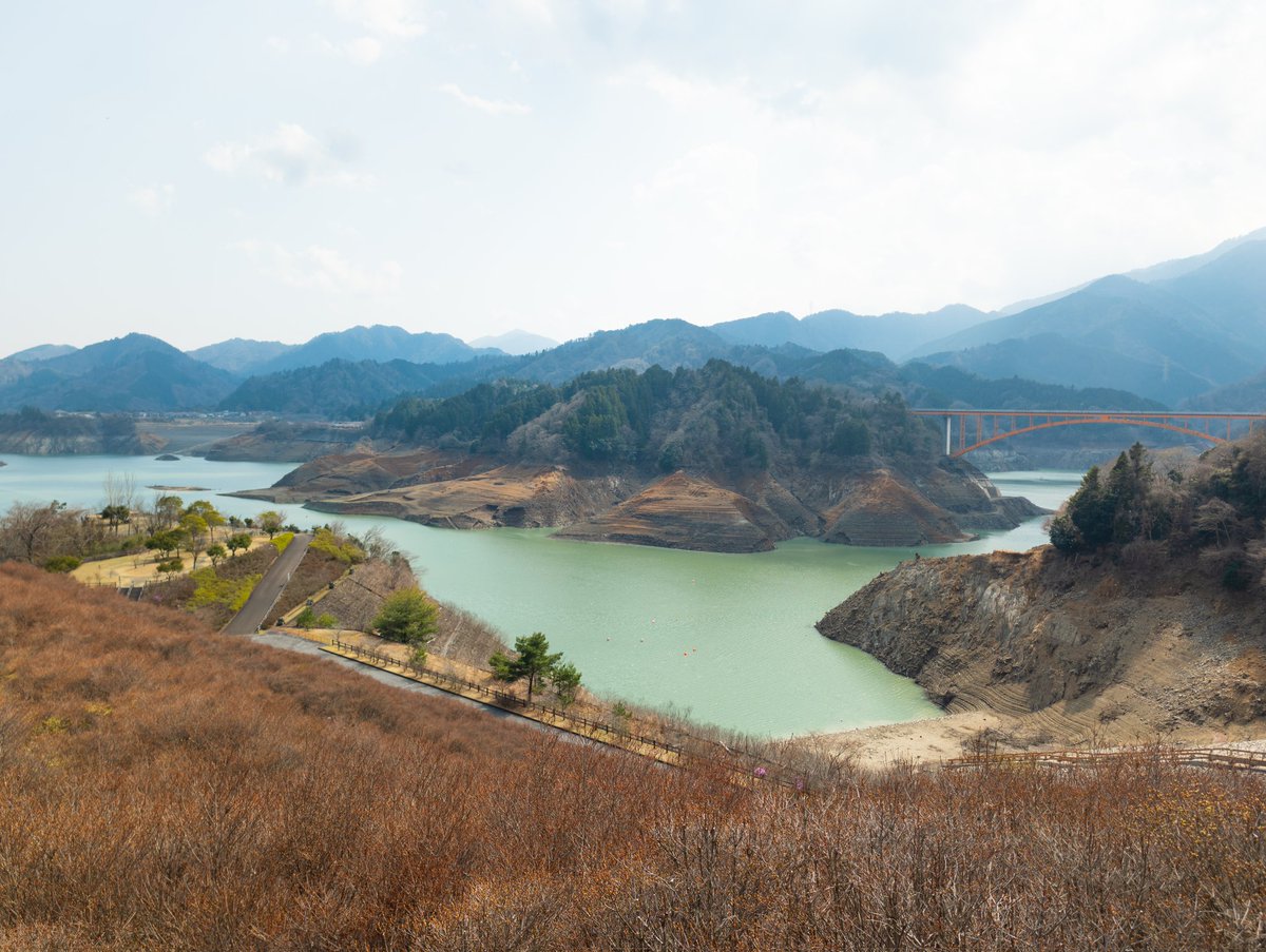 Kawasaki King tweet media