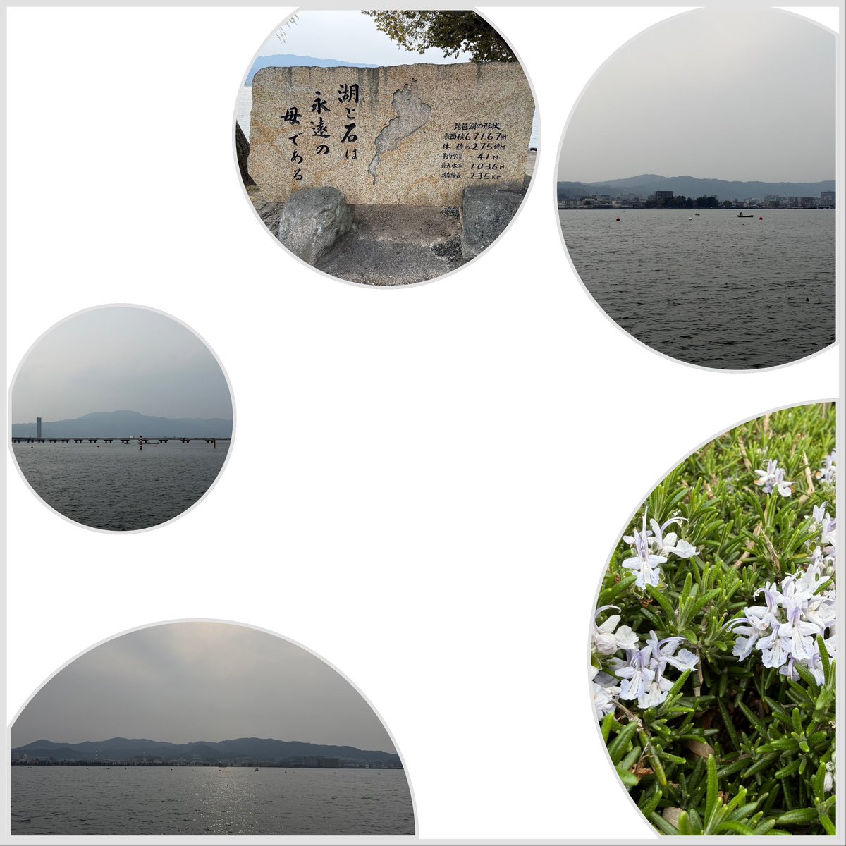 こうの助 tweet media