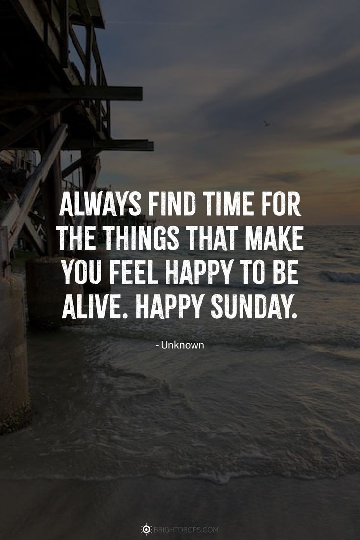 𝐌𝐚𝐫𝐬 𝕻 tweet media