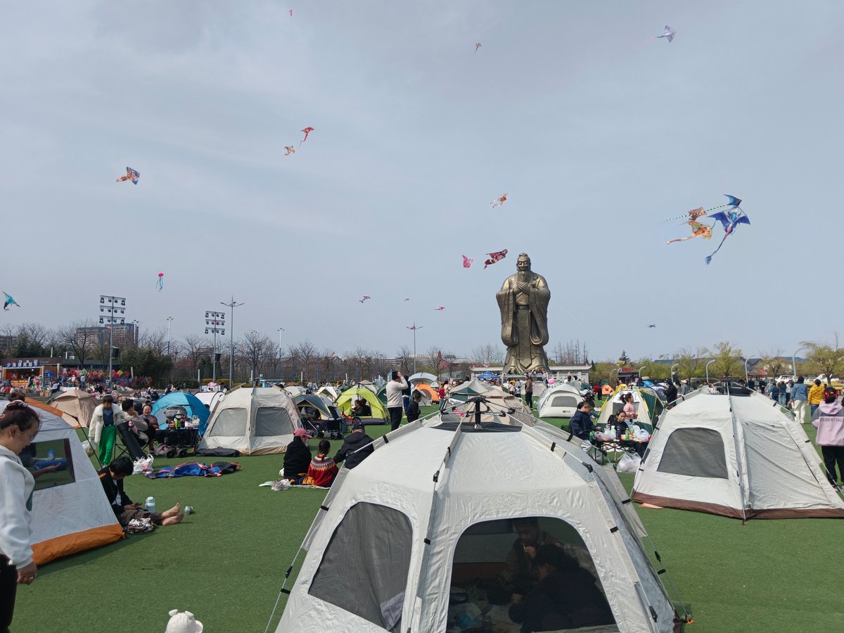 青岛今世缘 tweet media