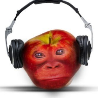 primateluvr tweet media