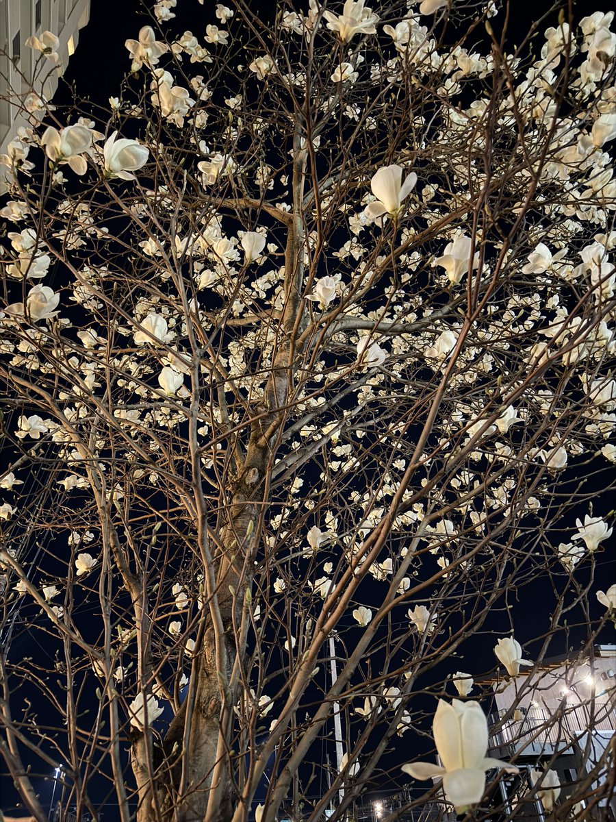 いさみ(鈴木実貴子ズのズ) tweet media