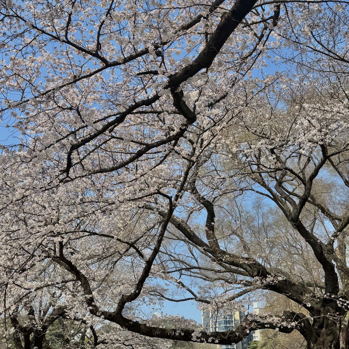 がぶりえる tweet media