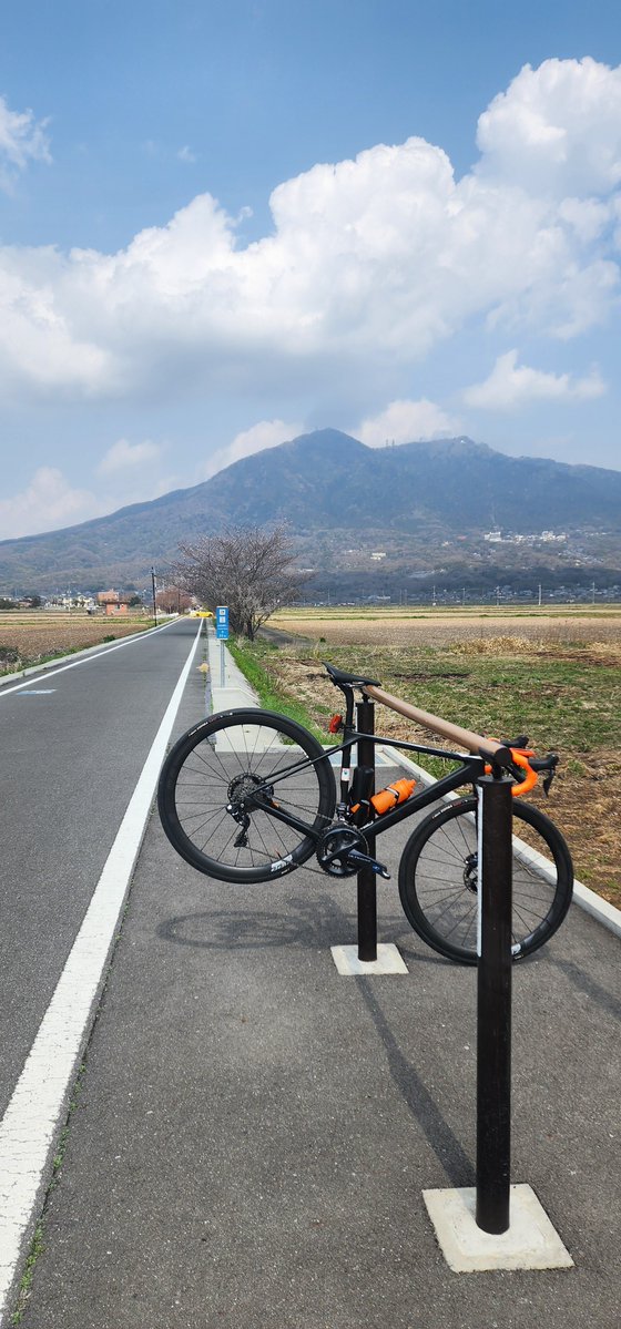 chobissimo🐬🥑🐦🐟 tweet media