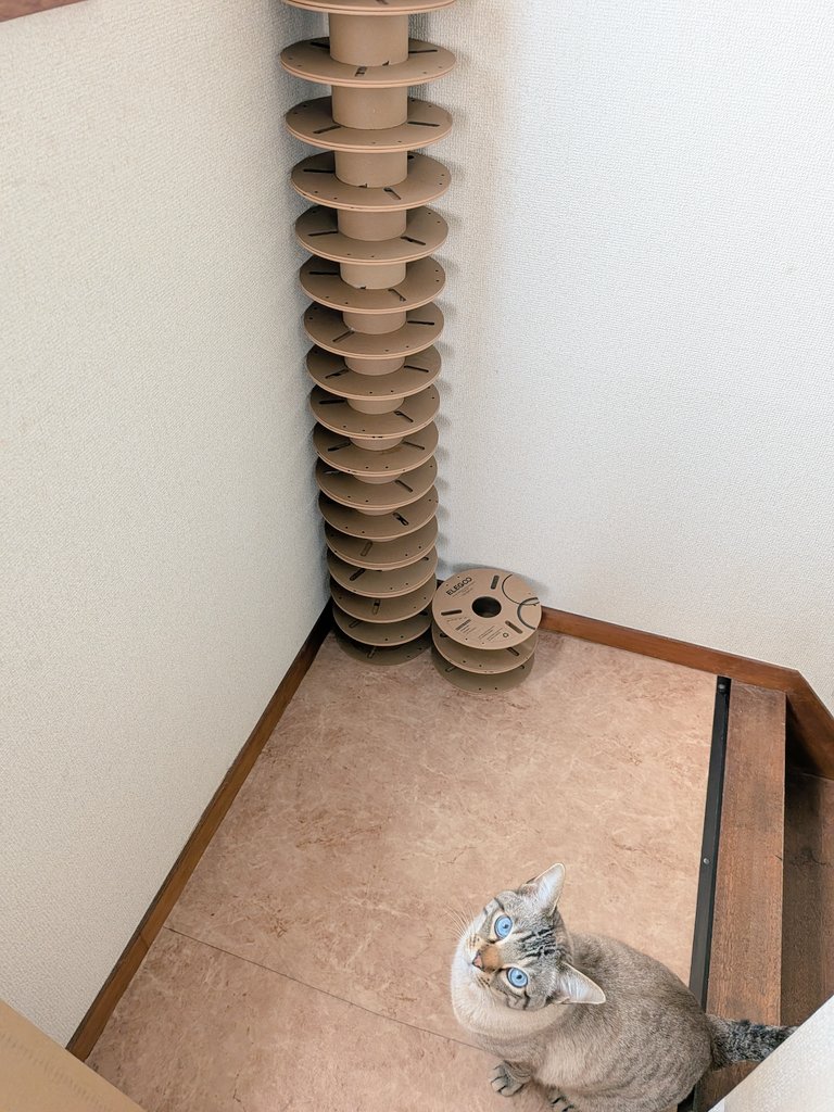 萩原 亮 HAGIWARA Ryo tweet media