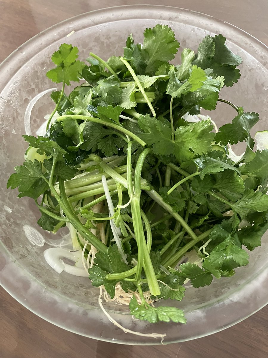 デュオ•くまジブぶー•マックスウェル tweet media