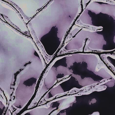 𓂃 ࣪ ˖ ִֶ ཐི༏ཋྀ󠀮ᅟ▌ᅟ𝕱 A͟ E 𝔅 E L L S tweet media