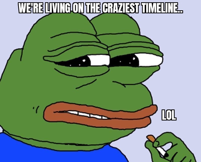 David Welsh tweet media