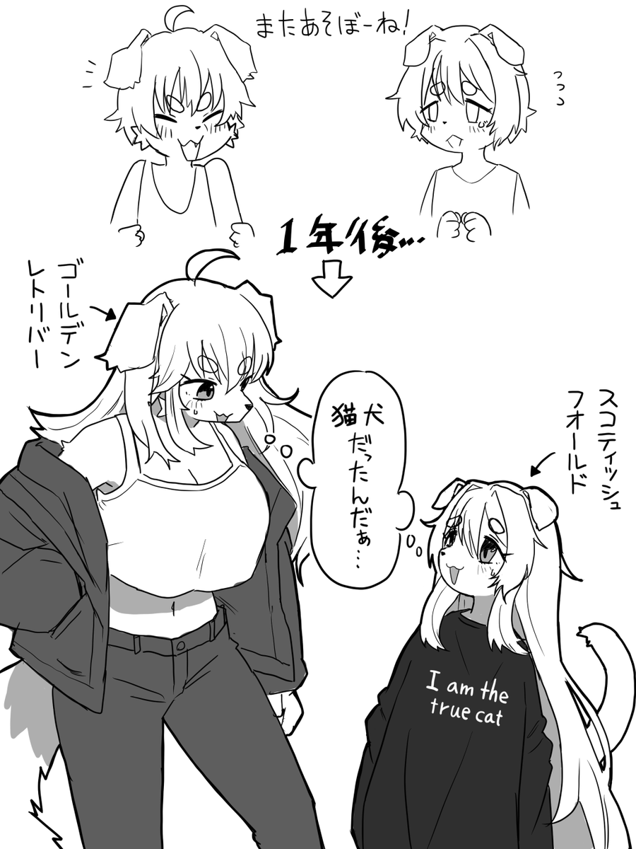 ねこてぃ！✨️😽5月20日単行本発売！📚️✨️ tweet media