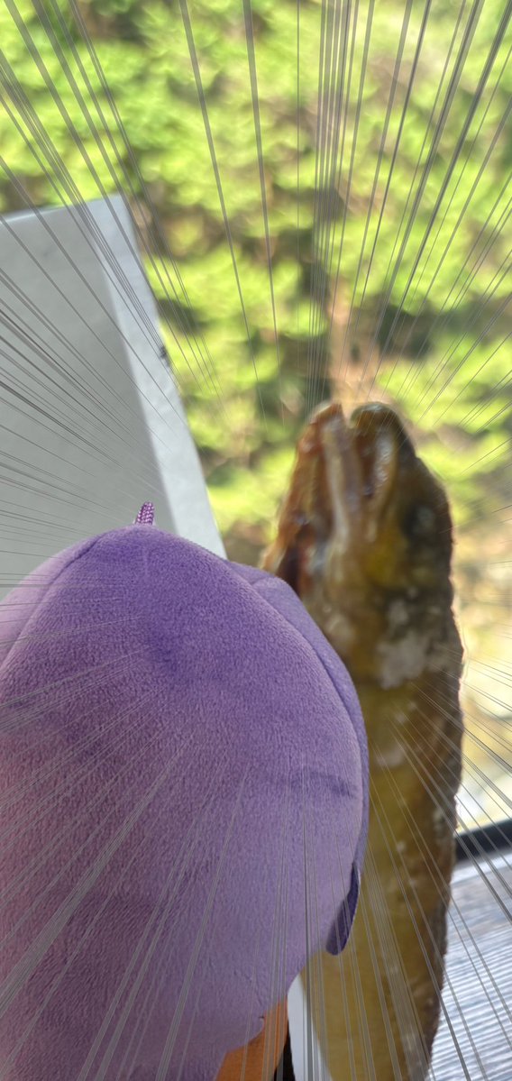 ナッシ tweet media