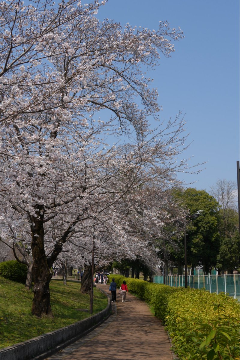 hyotanh / 秦野丹沢箱根 🏔️ tweet media