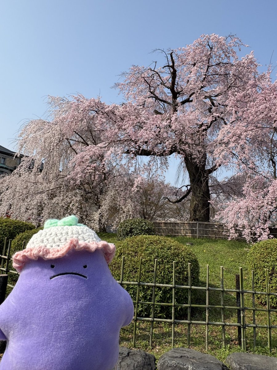 おたる tweet media