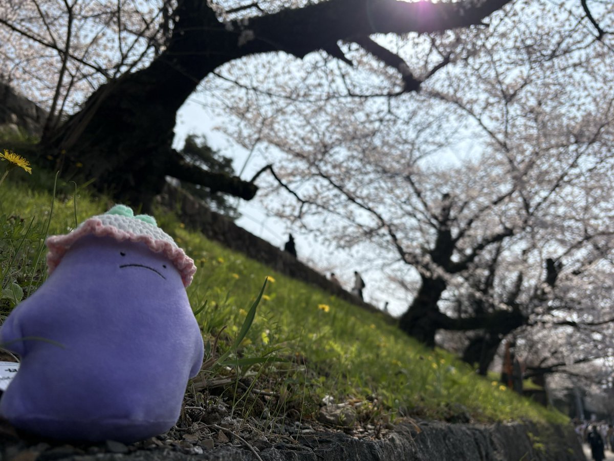 おたる tweet media