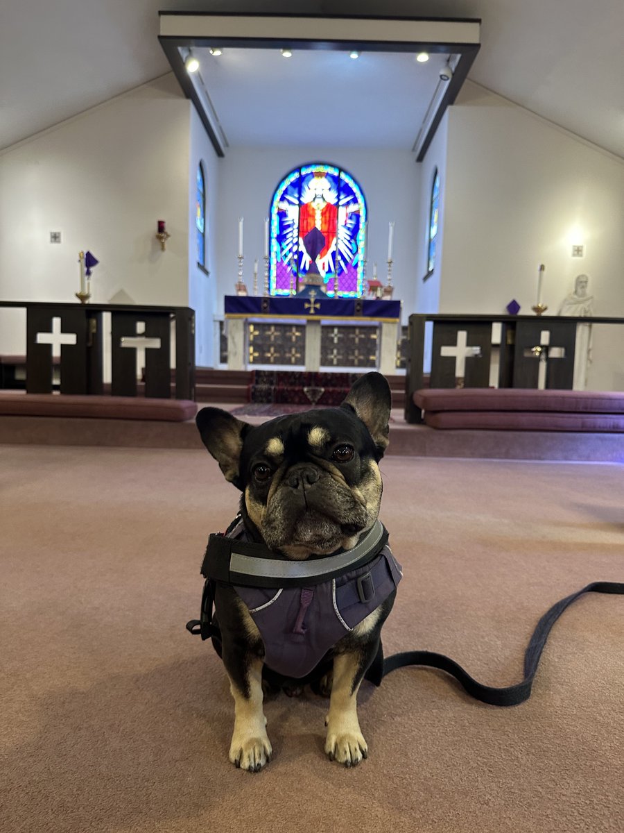 calvinrobinson's tweet image. Go to church for the Lord’s Day.

Palm Sunday is Christ’s triumphal entry into Jerusalem as King of the Jews, days before they had Him killed.

Holy Week begins with joy and celebration, before His passion, death and resurrection during the Paschal Triduum. 

Hosanna! 🌴