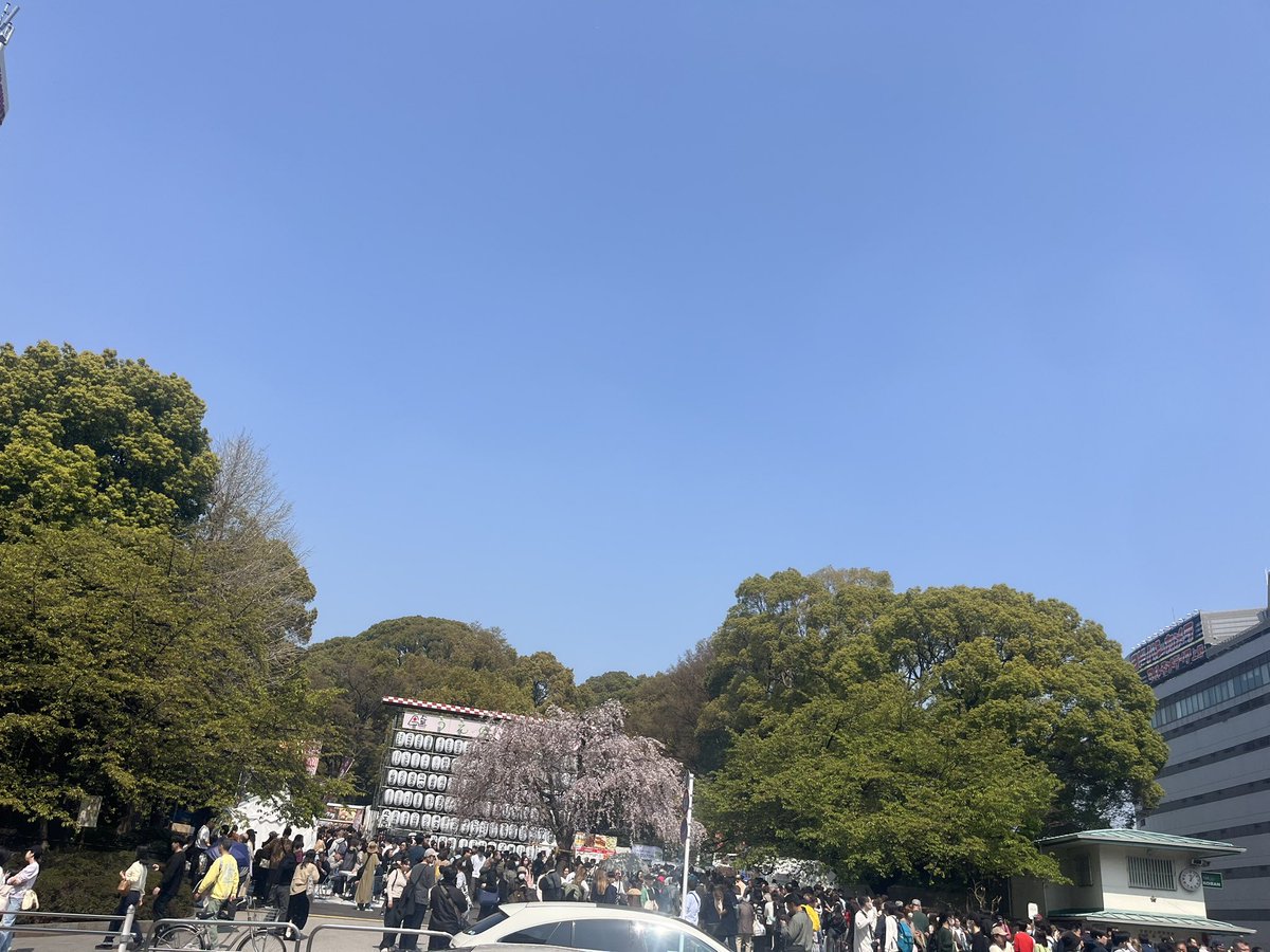 アンチッチ（アンチ人間） tweet media